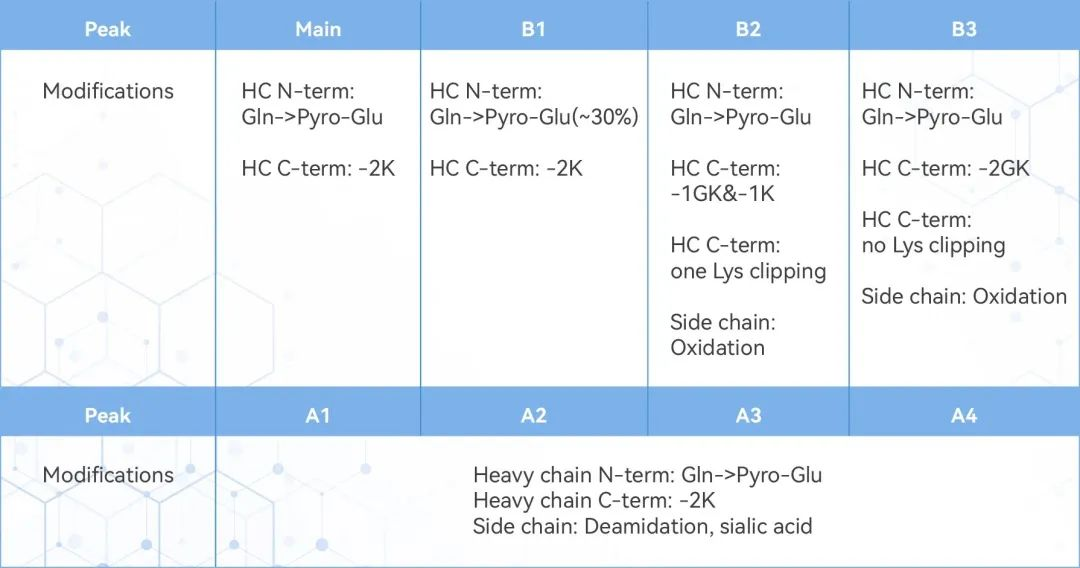 基于尖端的全柱成像等电毛细管电泳