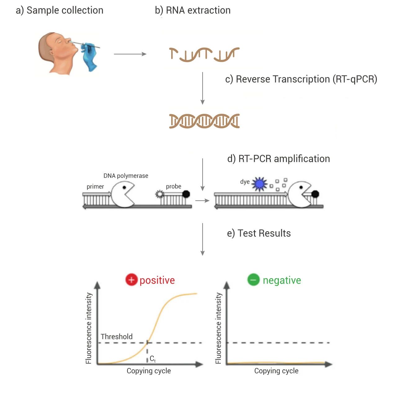 PCR 核酸检测试剂盒