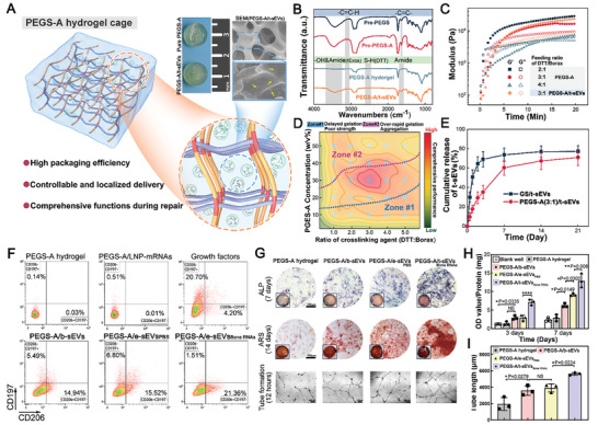 外泌体技术服务 外泌体技术服务
