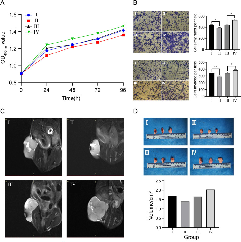 细胞功能实验 细胞功能实验