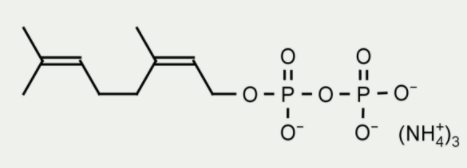 二磷酸橙花酯（NPP），助力科研突破，价格超划算