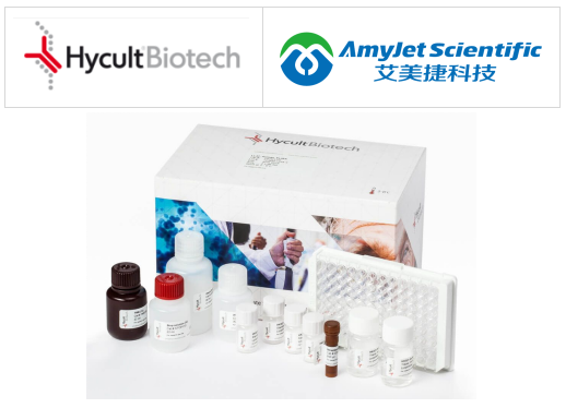 艾美捷 补体激活旁路途径(大鼠)检测试剂盒说明书 艾美捷 补体激活旁路途径(大鼠)检测试剂盒说明书