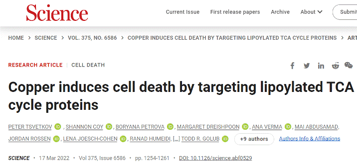 铜死亡：新发现的细胞死亡方式