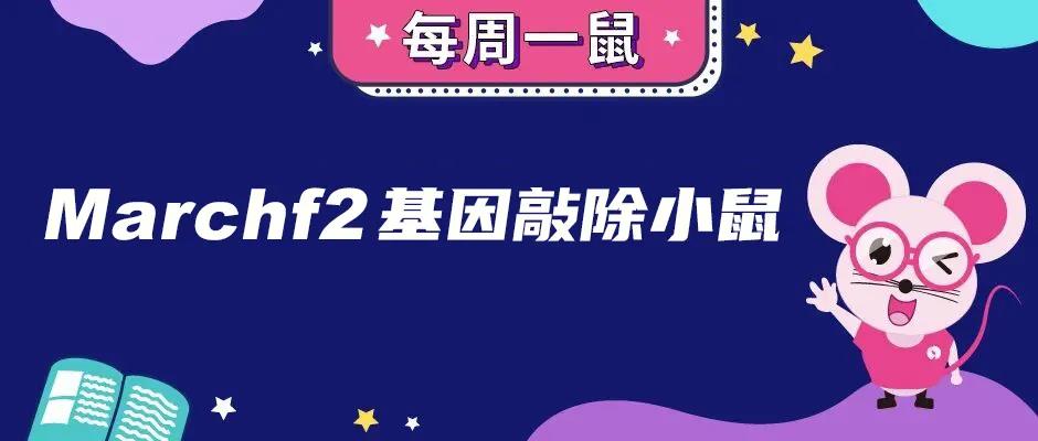 【每周一鼠】病毒克星——Marchf2