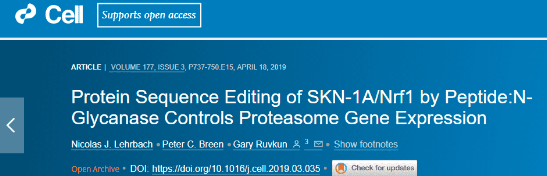 LC Laboratories 丨硼替佐米丨Bortezomib 附参考文献