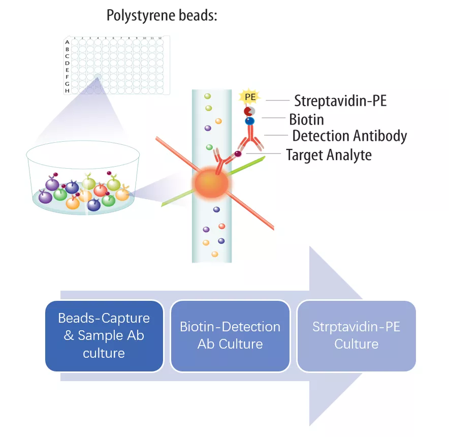 微球数量太少？这三点一定要注意