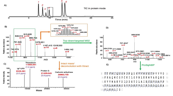 新品发布｜匠心独运出佳品，披荆斩棘助发现