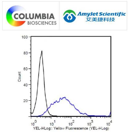 Columbia Biosciences 艾美捷小鼠抗 DYKDDDDK IgG说明书 Columbia Biosciences 艾美捷小鼠抗 DYKDDDDK IgG说明书