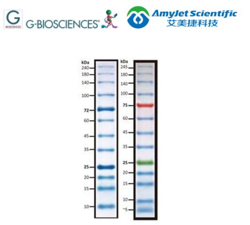 G-Biosciences PAGEmark™ 蛋白质标记物方案