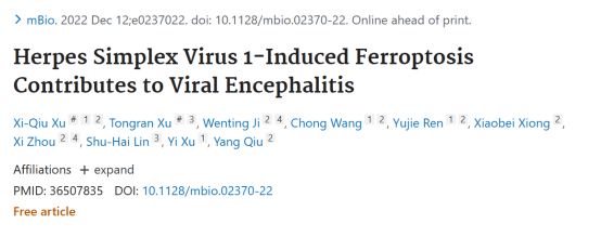 单纯疱疹病毒1型引起的铁死亡可导致病毒性脑炎