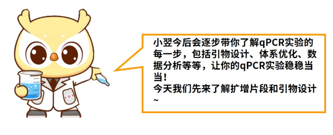 涨知识 | qPCR专场一：如何做好扩增片段和引物设计？