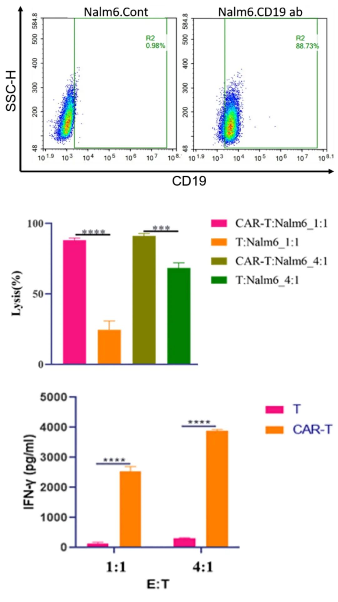 流式细胞术在CAR-T临床研发前应用