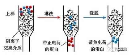 QQ截图20220602142318.jpg 图片