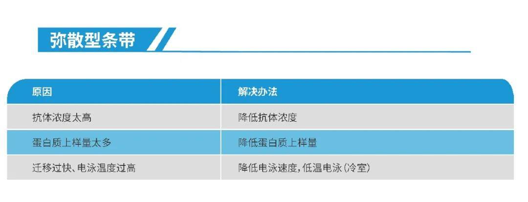 你们要的免疫印迹（WB）教程来了！我不信看完这个你还学不会