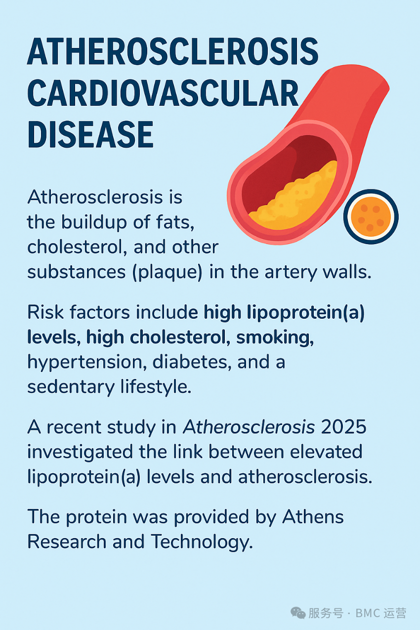脂蛋白(a)[Lp(a)]：揭示动脉粥样硬化致病机制与治疗新靶点