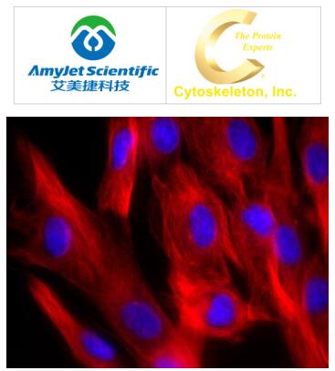 Cytoskeleton 艾美捷SiR700-微管蛋白试剂盒说明书