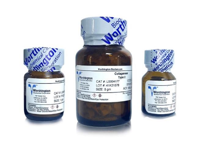 组织解离酶怎么选？一文教会你！