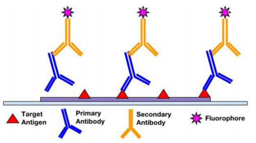 1708652038528879.png 1708652038528879.png