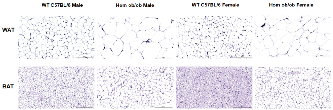 百里挑一，这些疾病你选对模型了吗？
