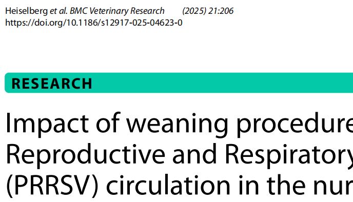 断奶程序决定PRRSV传播风险：混合断奶使病毒检出风险提高8倍！