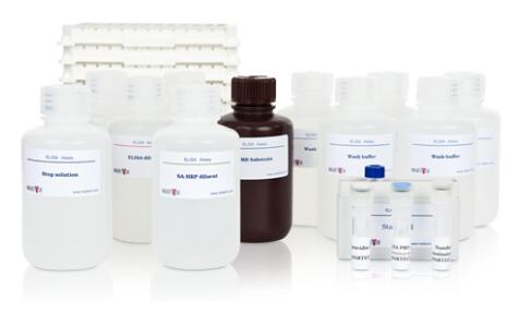 艾美捷 抗人IL-12/-23(p40)mAbs MT86/221,纯化方案 艾美捷 抗人IL-12/-23(p40)mAbs MT86/221,纯化方案