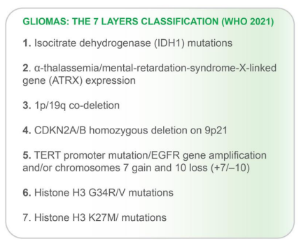 胶质瘤的分类及其关键研究靶点