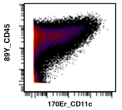 Ichorbio/艾美捷 抗CD11C体内抗体-低内毒素