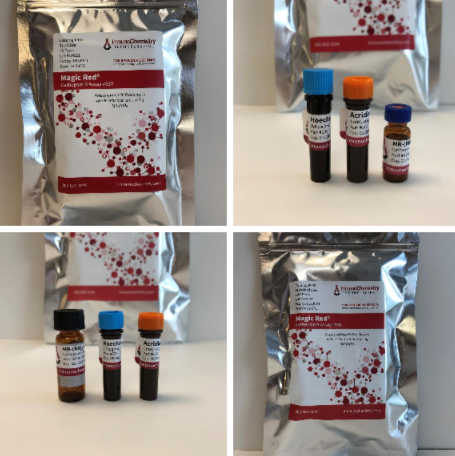 检测原理丨艾美捷ICT 魔力红组织蛋白酶B活性分析试剂盒