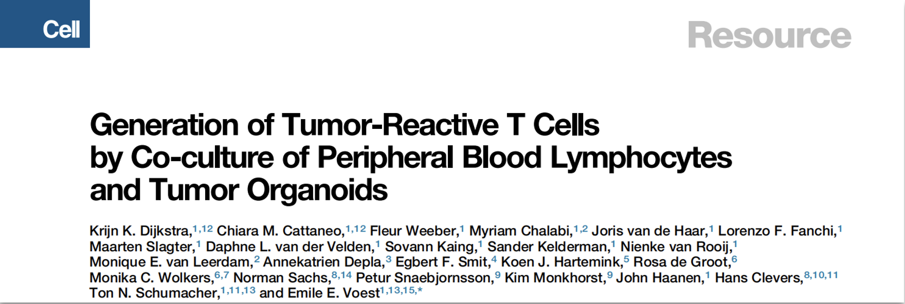 免疫共培养之——类器官