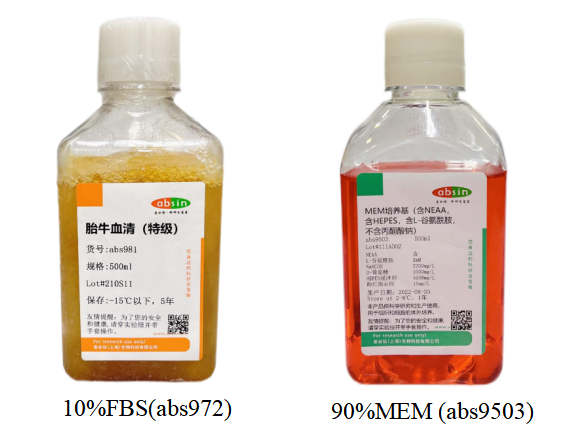 HepG2细胞培养攻略