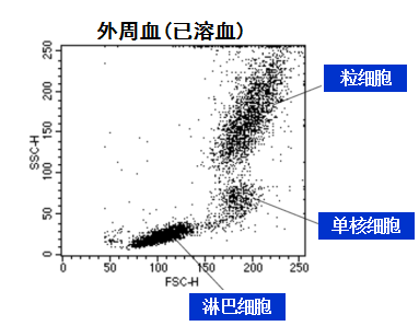 新闻图片6