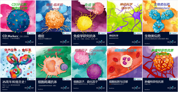 BioXCell PD-1抗体：更适合，体内实验，体外实验，诊断研究