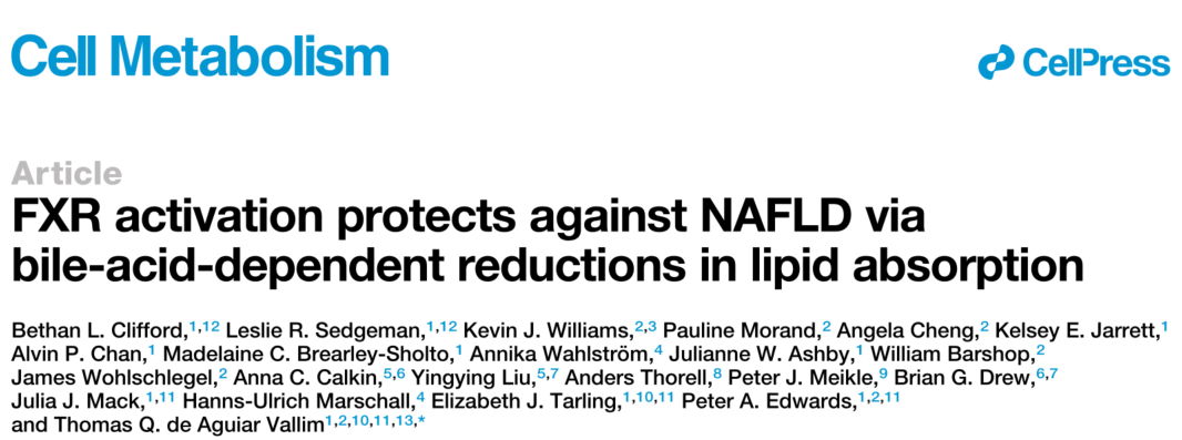 Cell Metabolism | FXR激活可通过胆汁酸依赖方式降低脂质吸收从而预防NAFLD