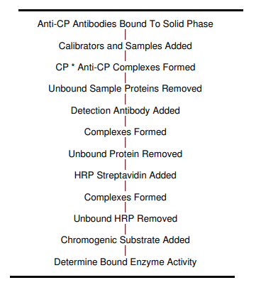 KT-1876铜蓝蛋白ELISA试剂盒检测原理