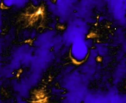 星形胶质细胞对睡眠的调节作用可能与神经元一样重要