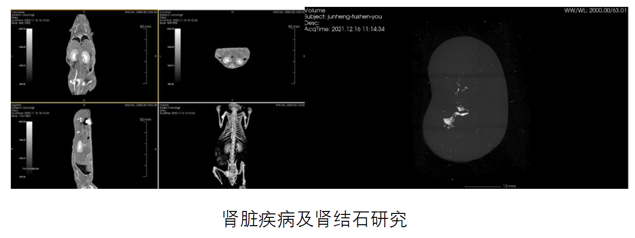 小动物成像检测有哪些?可以对应哪些指标?