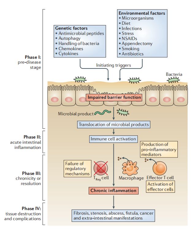 CBA（高通量液相蛋白定量技术）在IBD炎症性肠病中的应用