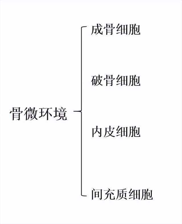 文献速读：乳腺肿瘤细胞重塑骨髓血管微环境以支持转移