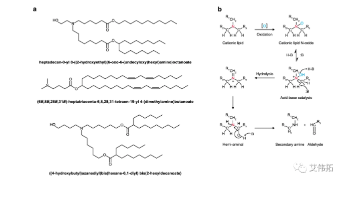 LNP递送系统中mRNA失活的新机制（省流版）