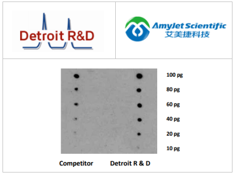 艾美捷Detroit R&D GLOBRITE ECL试剂盒解决方案 艾美捷Detroit R&D GLOBRITE ECL试剂盒解决方案