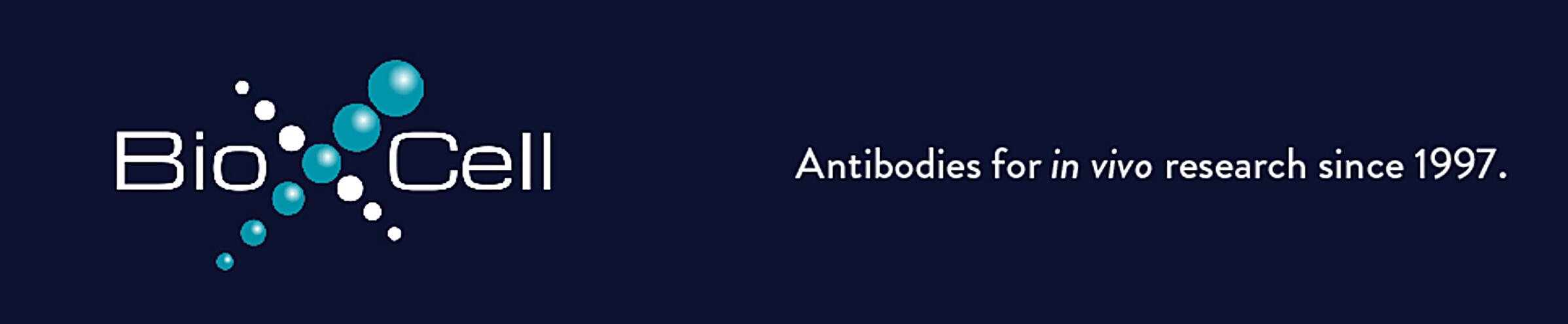 BioXcell特色产品推荐之：InVivoSIM 抗体