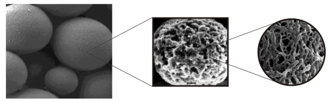 怎么选择磁珠和琼脂糖珠 