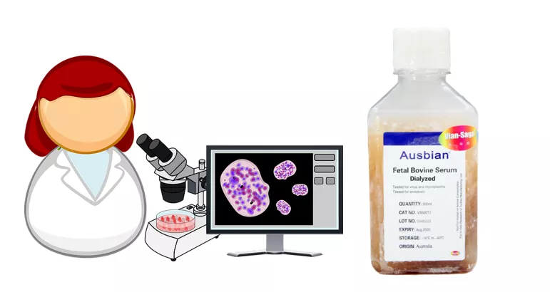 细胞培养中常用血清种类汇总