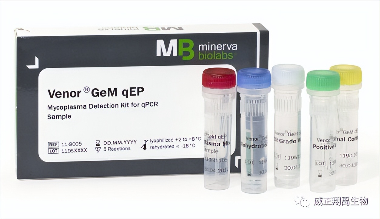 临床项目申报中的支原体检测有哪些