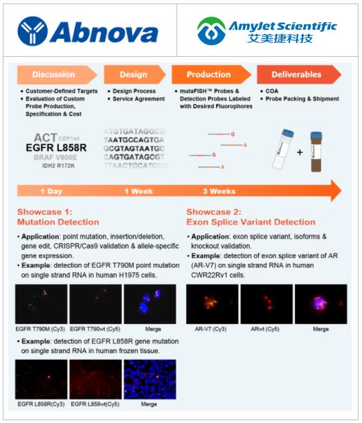 Abnova丨Abnova mutaFISH 探针研究方案