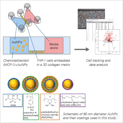 趋化性实验|新研究揭秘5种趋化性分析方法