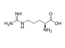 absin常用生化试剂-氨基酸类
