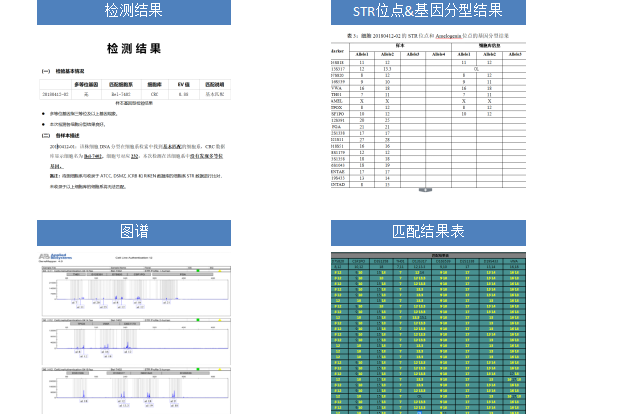 细胞STR检测服务