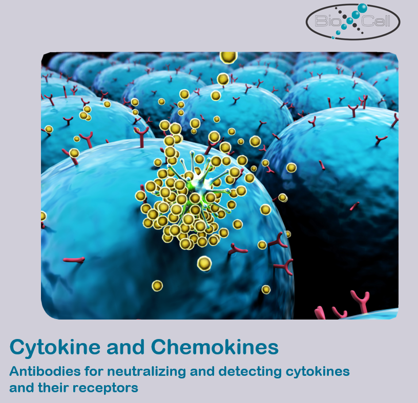 细胞因子抗体Cytokine Antibodies