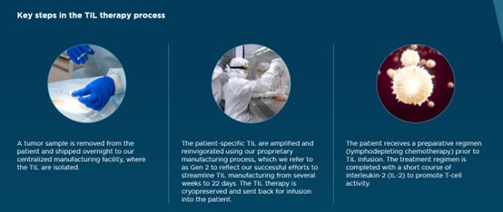 针对黑色素实体瘤的TIL疗法-生产工艺概览_上海曼博生物